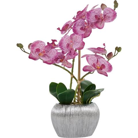 Home affaire Kunstplant Orchidee Kunstorchidee, in een pot (1 stuk)