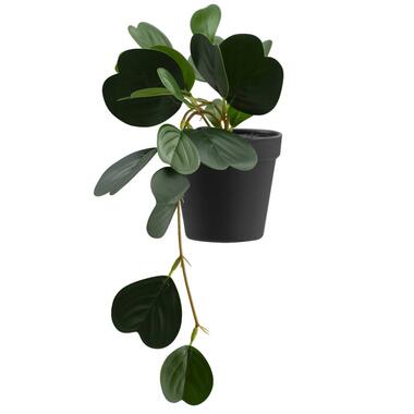 Leen Bakker Kunstplant Japonica in pot - groen - 22 cm