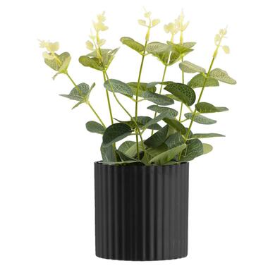 Leen Bakker Kunstplant Eucalyptus in pot - groen/zwart - 25 cm