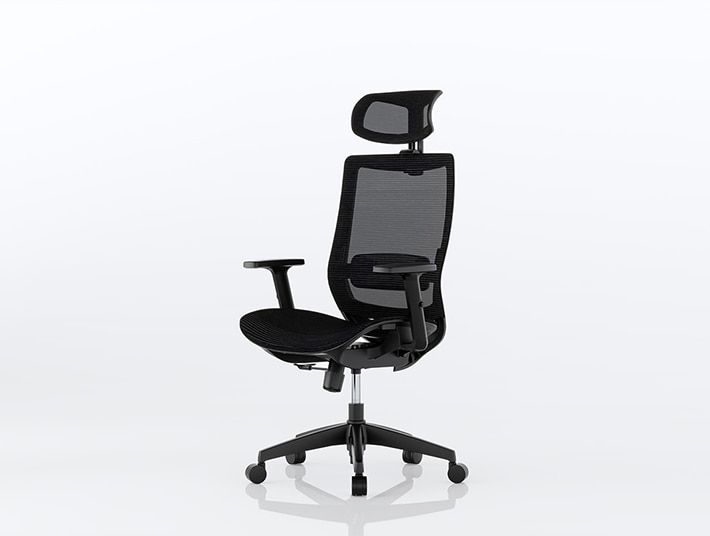 FlexiSpot Ergonomische stoel BS4, volledige gaas