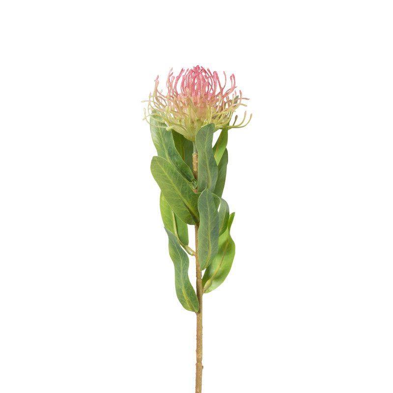 Xenos Kunstbloem leucospermum - fuchsia - 48 cm