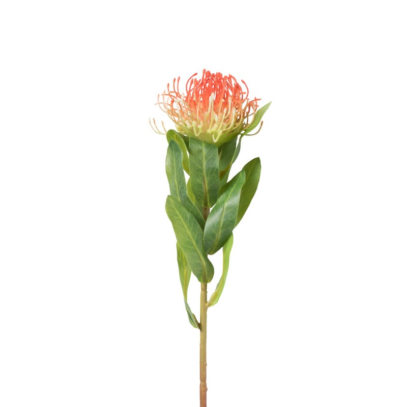 Xenos Kunstbloem leucospermum - oranje - 48 cm