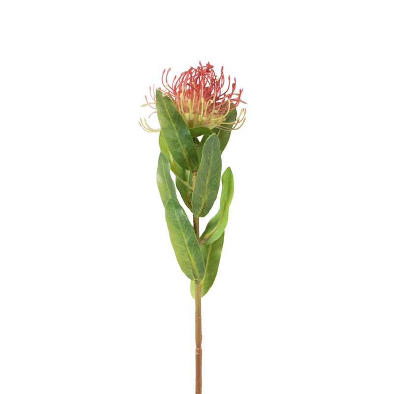 Xenos Kunstbloem leucospermum - rood - 48 cm