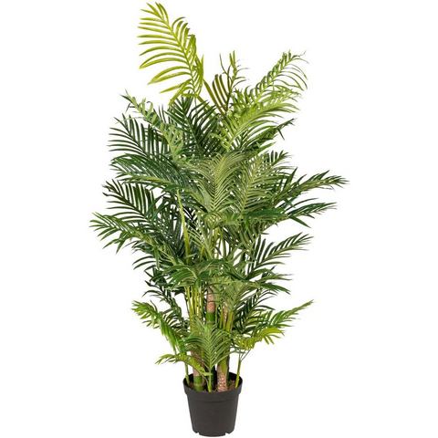 Creativ green Kunstpalm Arecapalm (1 stuk)