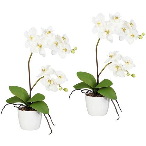 Creativ green Kunstplant Vlinderorchidee in een keramische pot (set, 2 stuks)