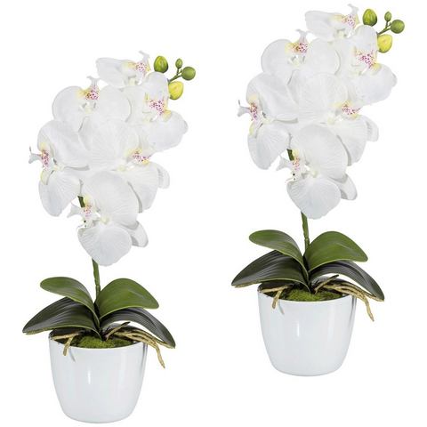 Creativ green Kunstplant Vlinderorchidee in een keramische pot (set, 2 stuks)