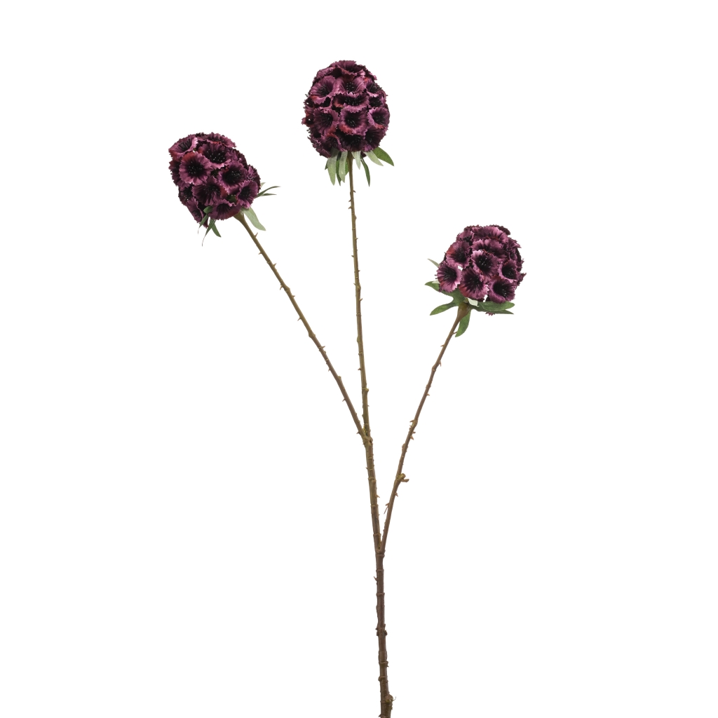 Woonexpress Scabiosa spray