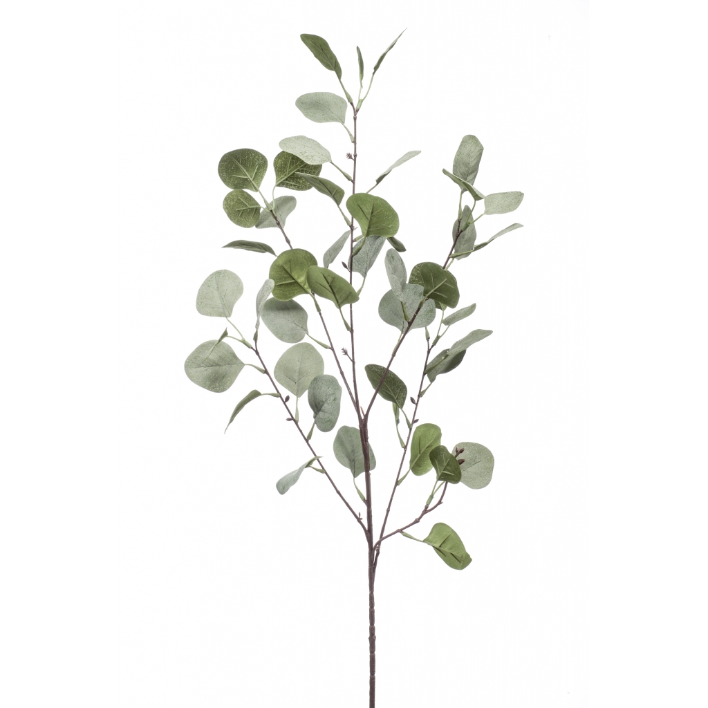 Woonexpress Eucalyptus