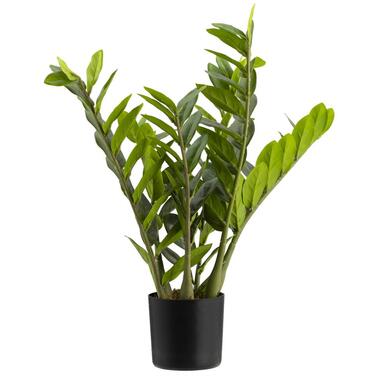 Leen Bakker Kunstplant Zamioculcas in pot - groen - 58 cm