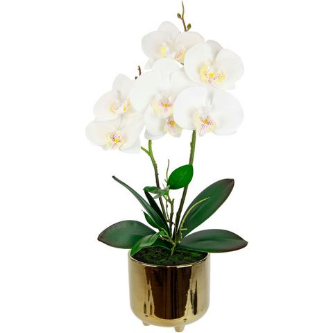 I.GE.A. Kunstbloem Orchidee (1 stuk)