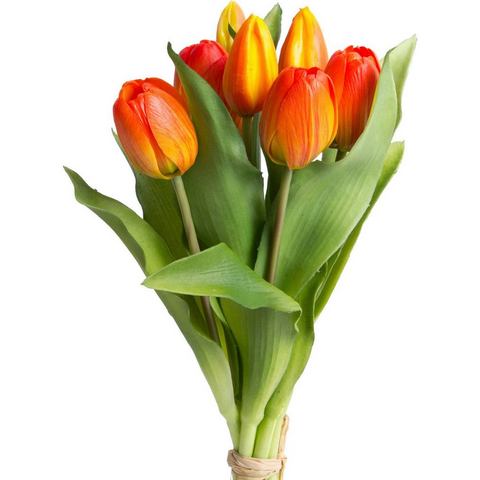 Botanic-Haus Kunstbloem Willa Bos tulpen in 7-delige set (set, 7 stuks)