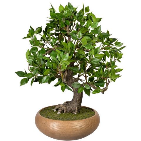 Creativ green Kunstbonsai Bonsai ficus in keramische kom (1 stuk)