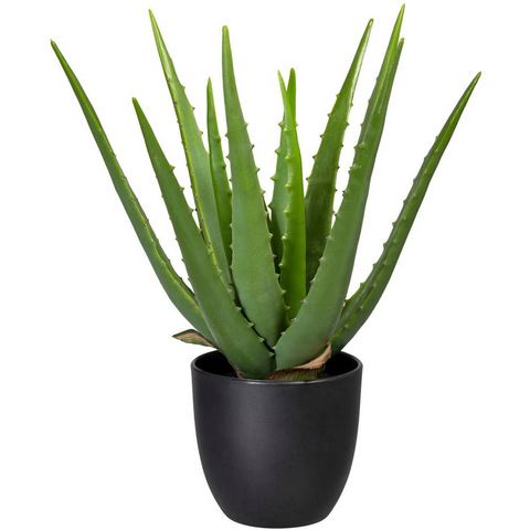 Creativ green Kunst-potplanten Aloe (1 stuk)