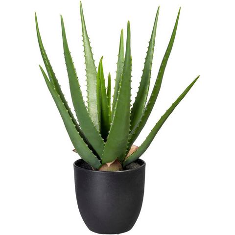 Creativ green Kunst-potplanten Aloe (1 stuk)