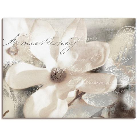 Artland Artprint Magnolie_Detail als artprint van aluminium, artprint voor buiten, artprint op linnen, poster, muursticker