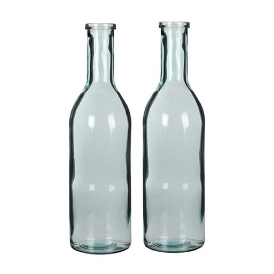Merkloos 2x Glazen fles / vaas transparant 50 x 15 cm -