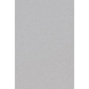 Merkloos 2x Zilveren papieren tafelkleden 137 x 274 cm -