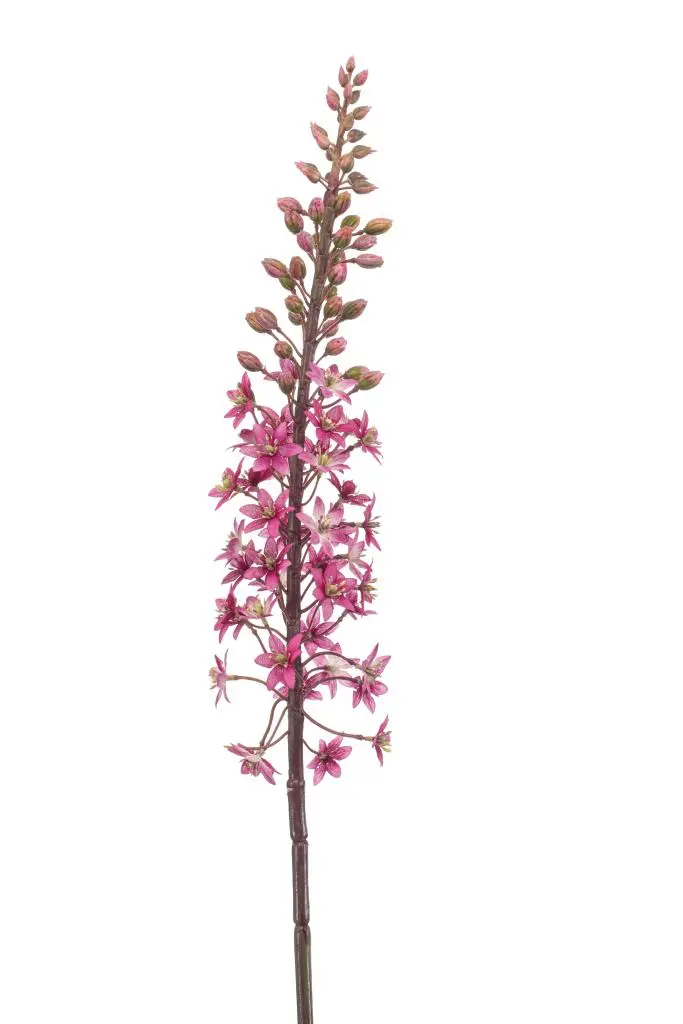 Emerald kunsttak eremurus 95cm fuchsia