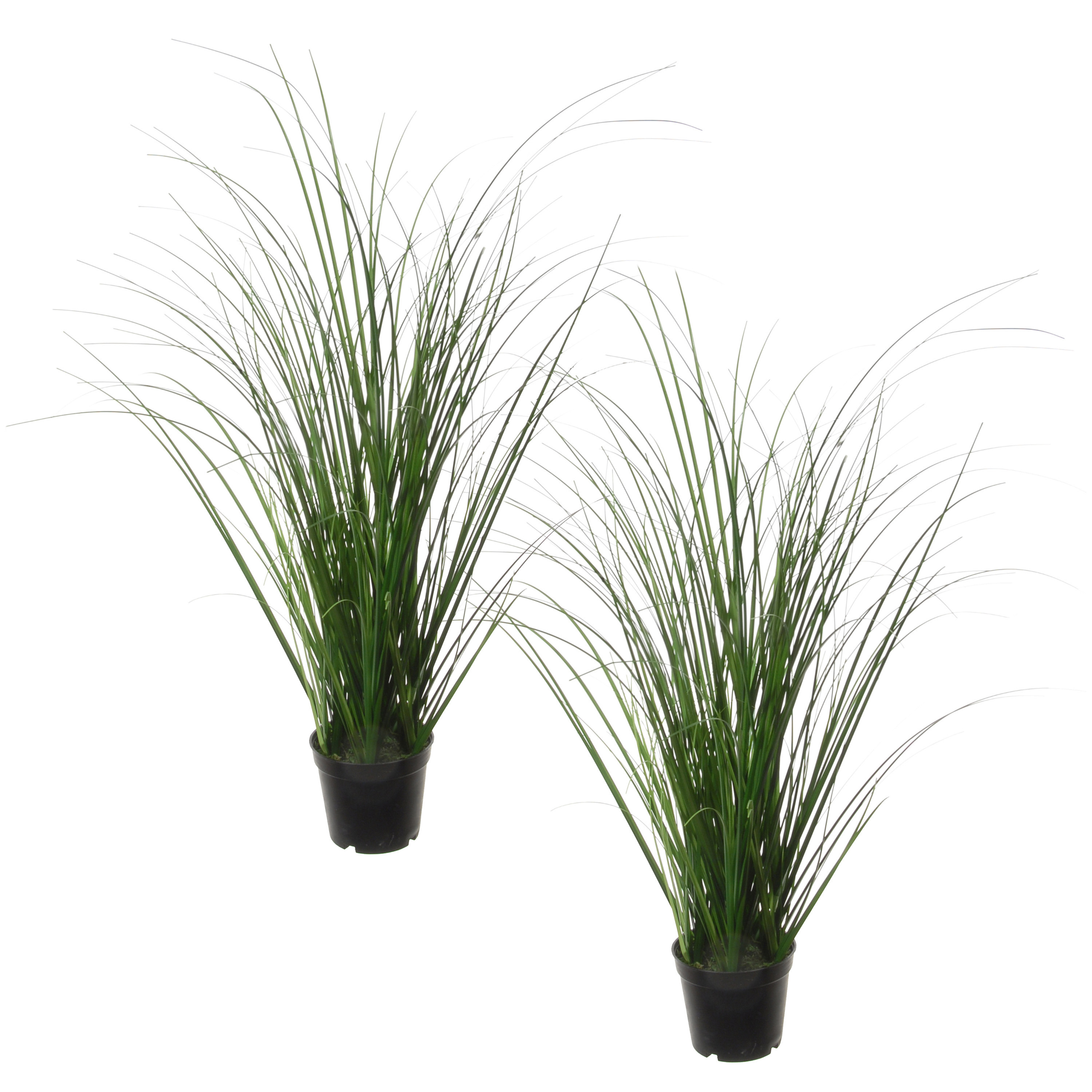 Louis Maes Quality kunstplant - 2x - Siergras bush - donkergroen - H55 cm - in pot -