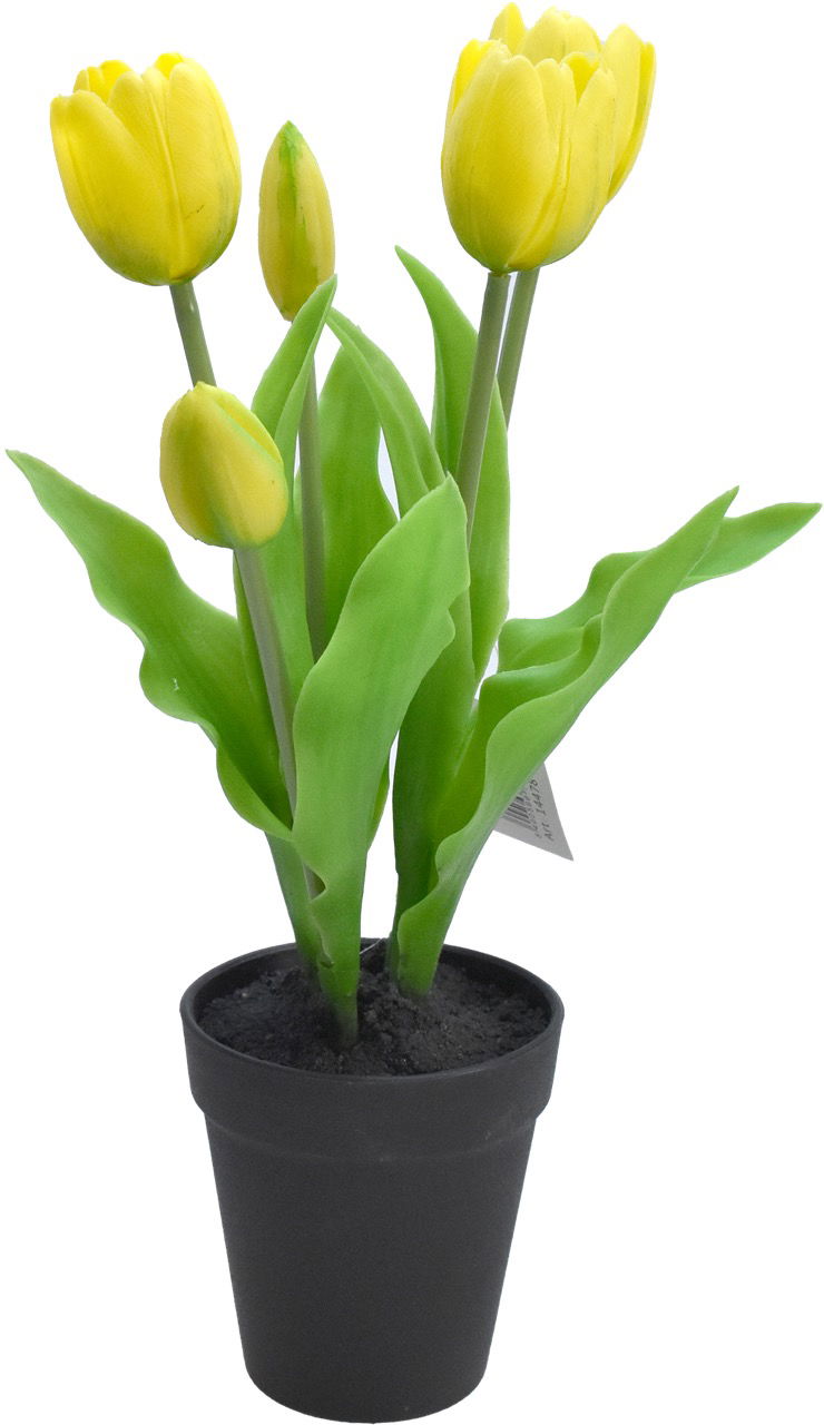 Driesprong collection Tulp in Pot 30,5cm Geel - 