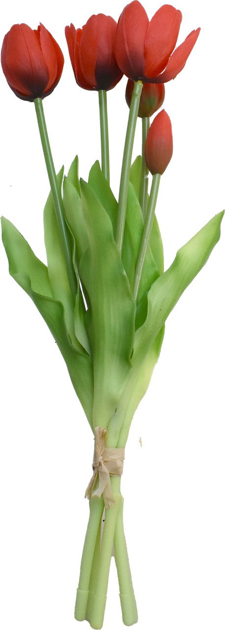 Driesprong collection Boeket 5 Tulpen Rood - 