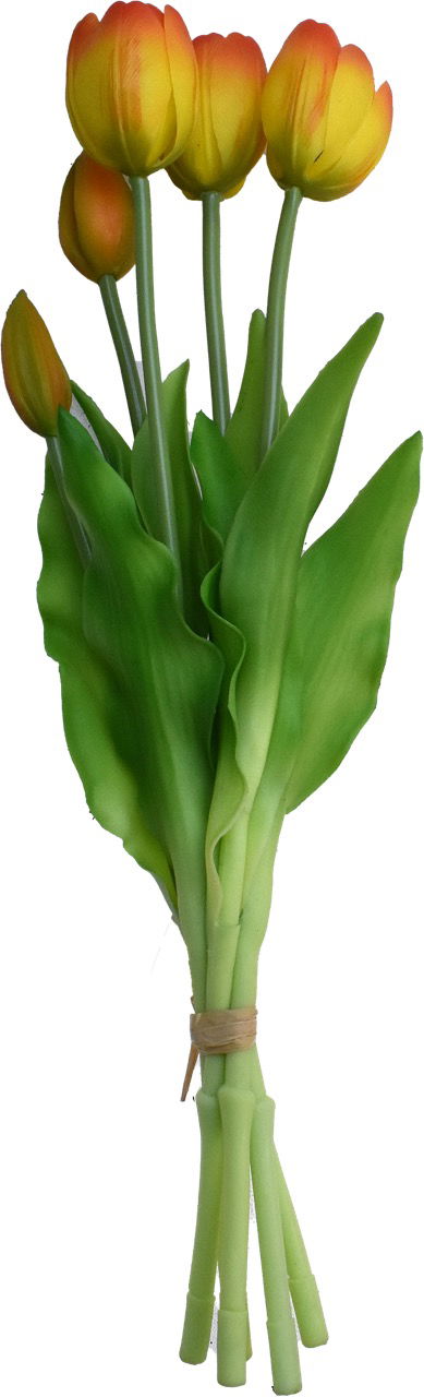 Driesprong collection Boeket 5 Tulpen Geel/rood - 