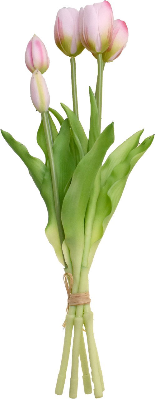 Driesprong collection Boeket 5 Tulpen Lichtpaars - 