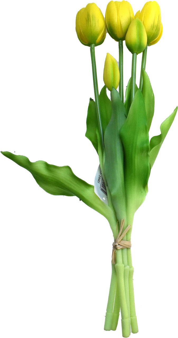 Driesprong collection Boeket 5 Tulpen Geel - 