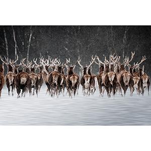 Countrylifestyle MondiArt Alu Herten 1062172