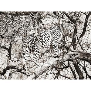 Countrylifestyle MondiArt Alu Leopard climb 1041172