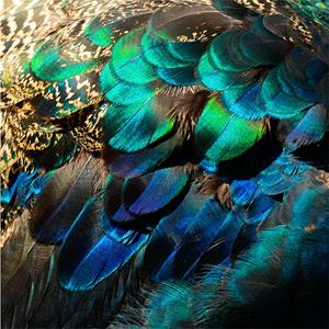 Countrylifestyle MondiArt Alu Feather Pastel 1040983