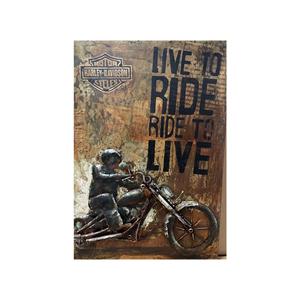 Countrylifestyle 3D schilderij Gave Special Motor Ride to Live 902