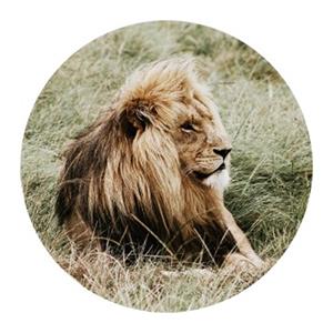 Countrylifestyle Gave Special glasplaat leeuw rond