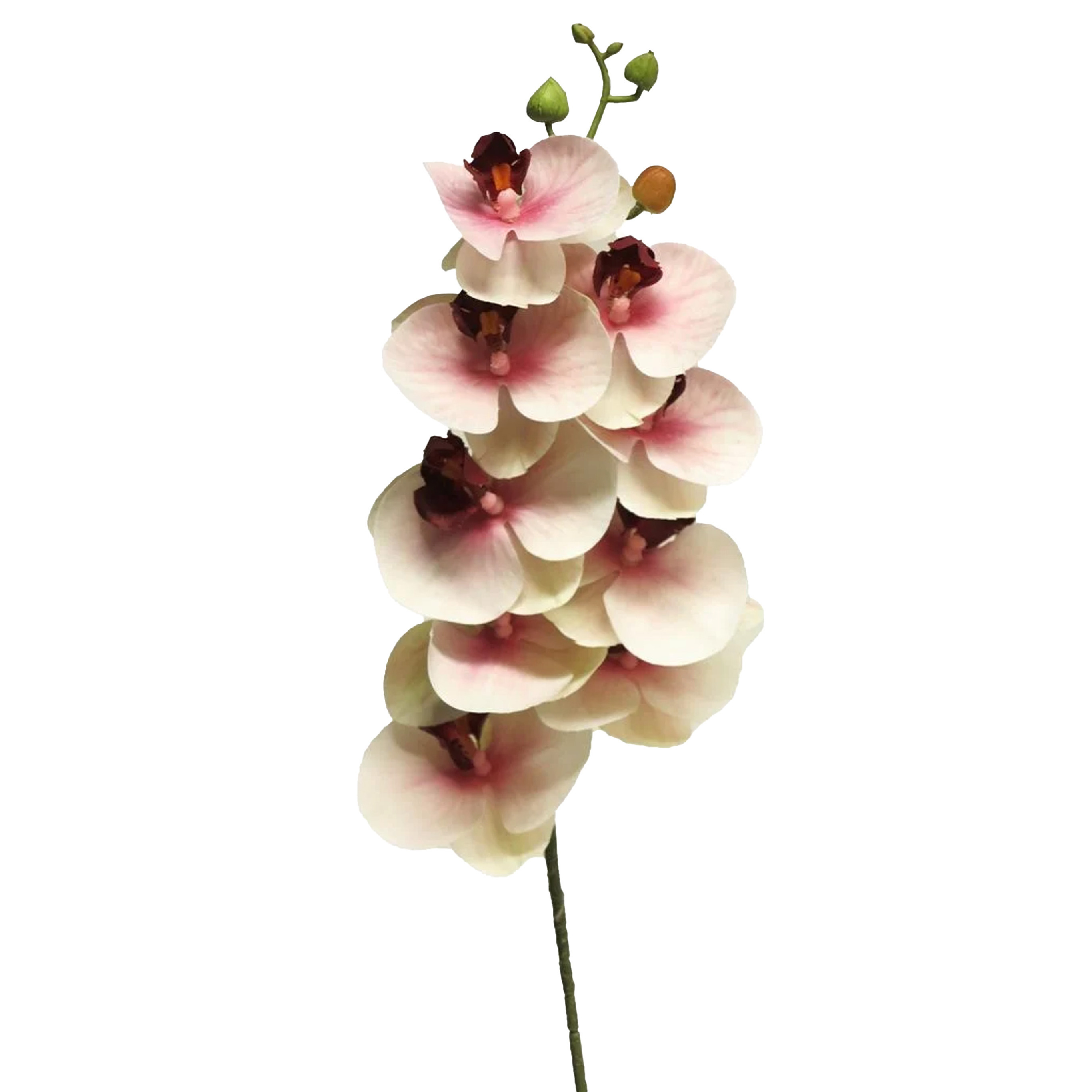 Bellatio Design Kunstbloem Orchidee Bora - roze - 77 cm - losse steel - kunst zijdebloem - Phalaenopsis -