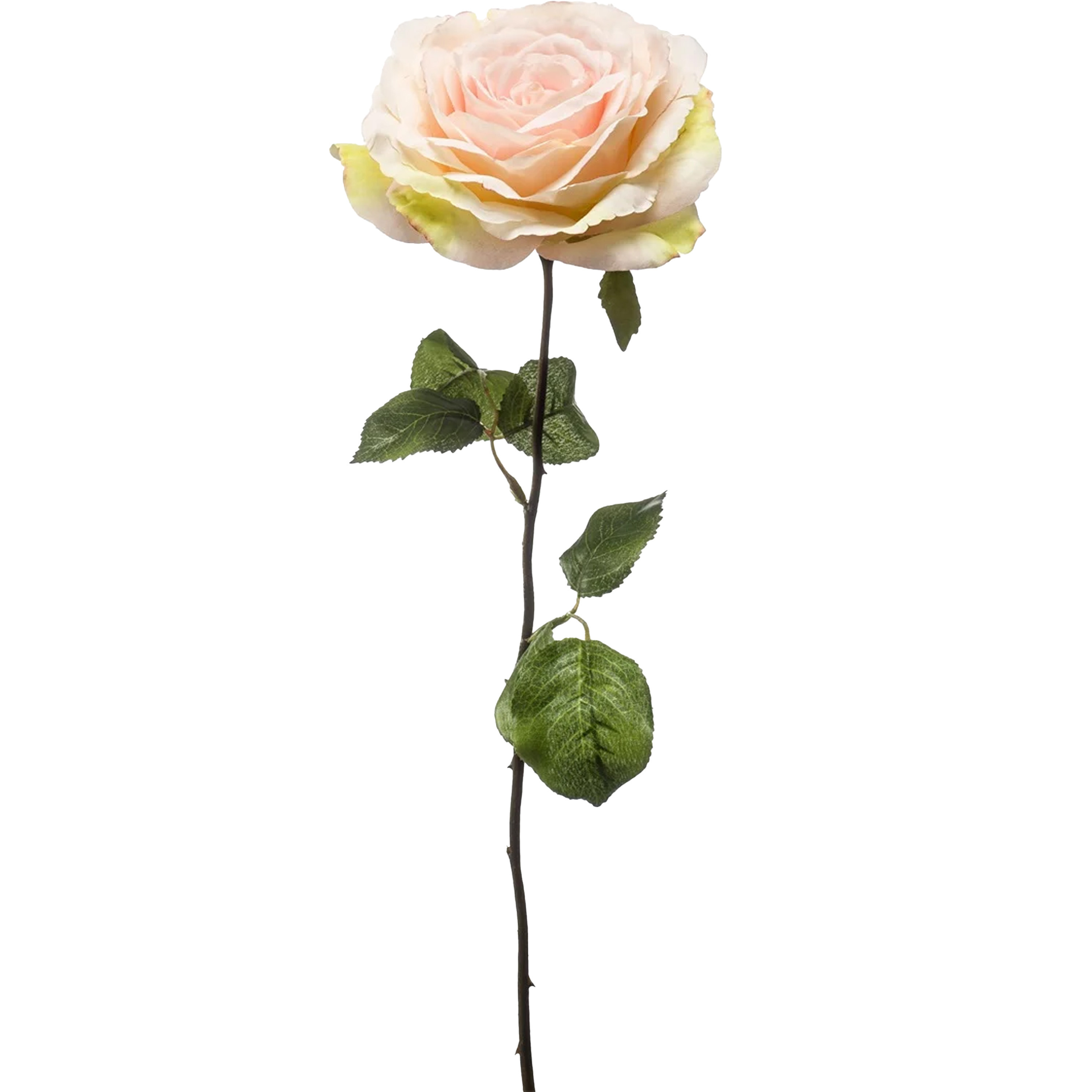 Emerald Kunstbloem Roos Laurie tak - 57 cm - licht roze - Kunst zijdebloemen -