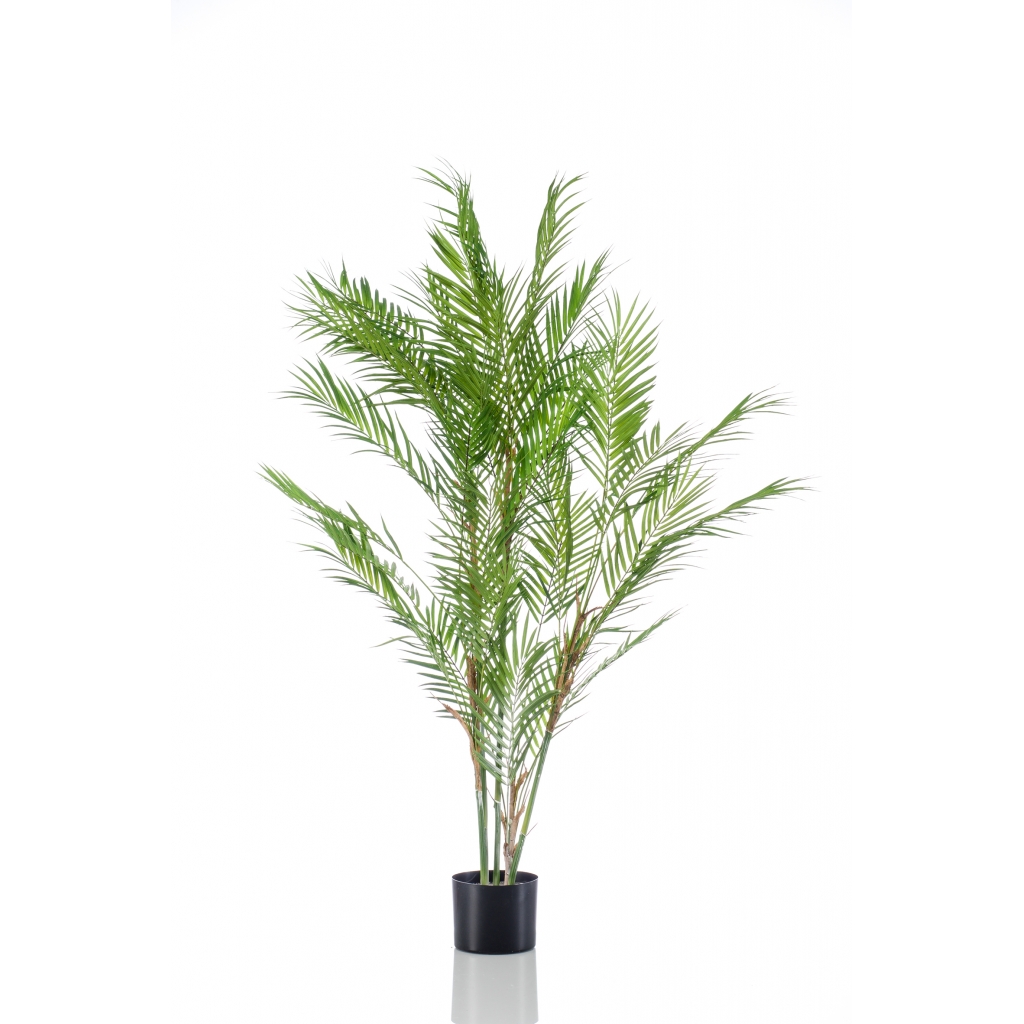 Woonexpress Chamaedorea palm