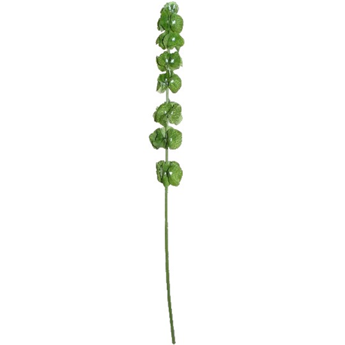 Decoflorall Klokken van Ierland 98cm. BELLS OF IRELAND GREEN bloomon boeket