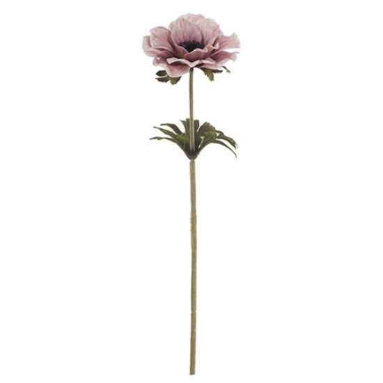 Decoflorall Anemoon Dry Colour Pink 35 cm / st – Zijdebloem zijdebloem