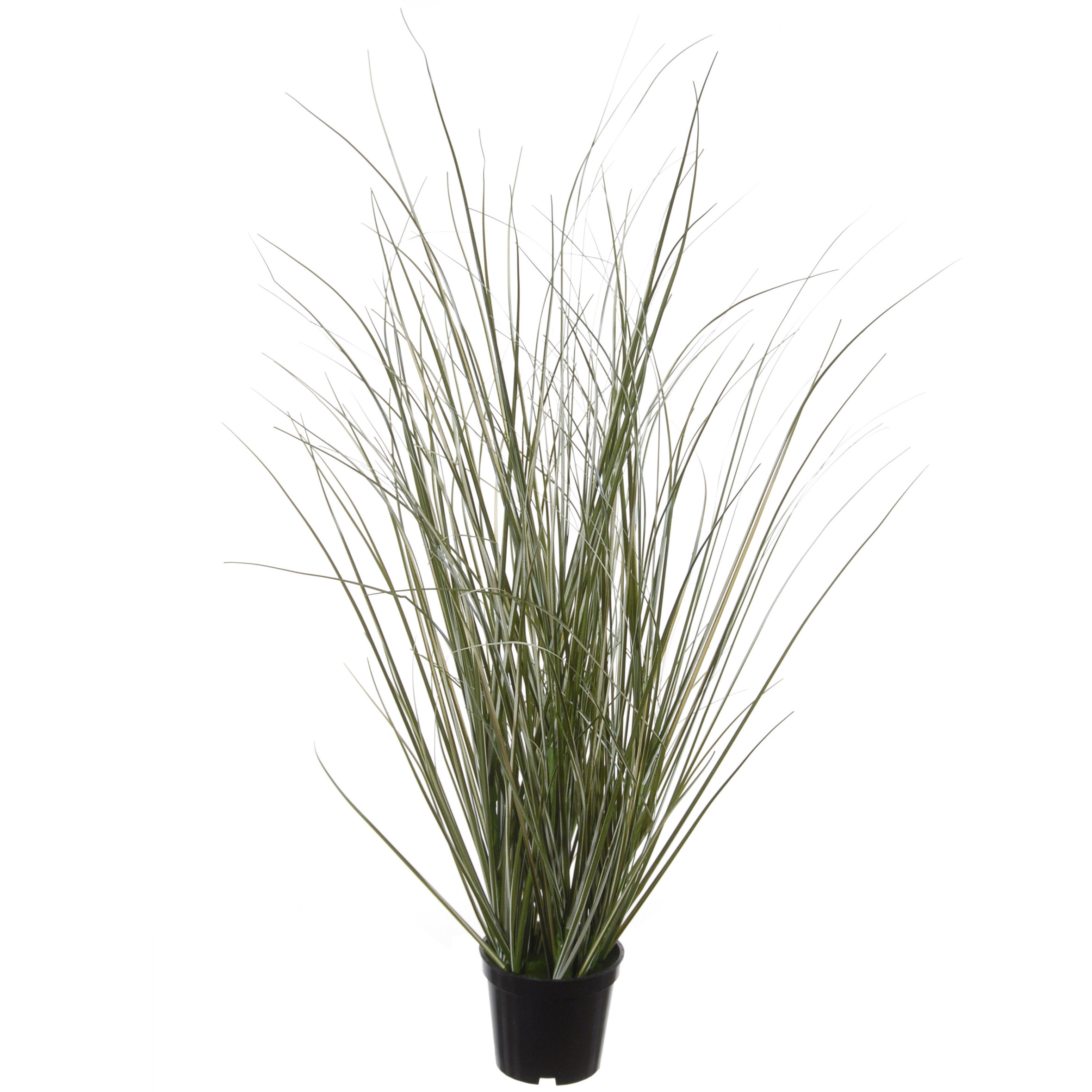 Louis Maes Kunstplant - siergras - in zwarte kunststof pot - 50 cm -