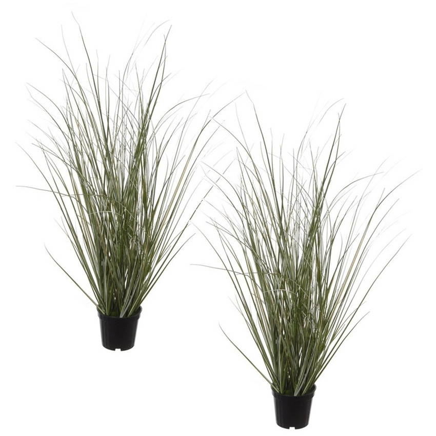Louis Maes Set van 2x stuks groene duingras Ammophila Arenaria kunstplanten in zwarte kunststof pot 50 cm -