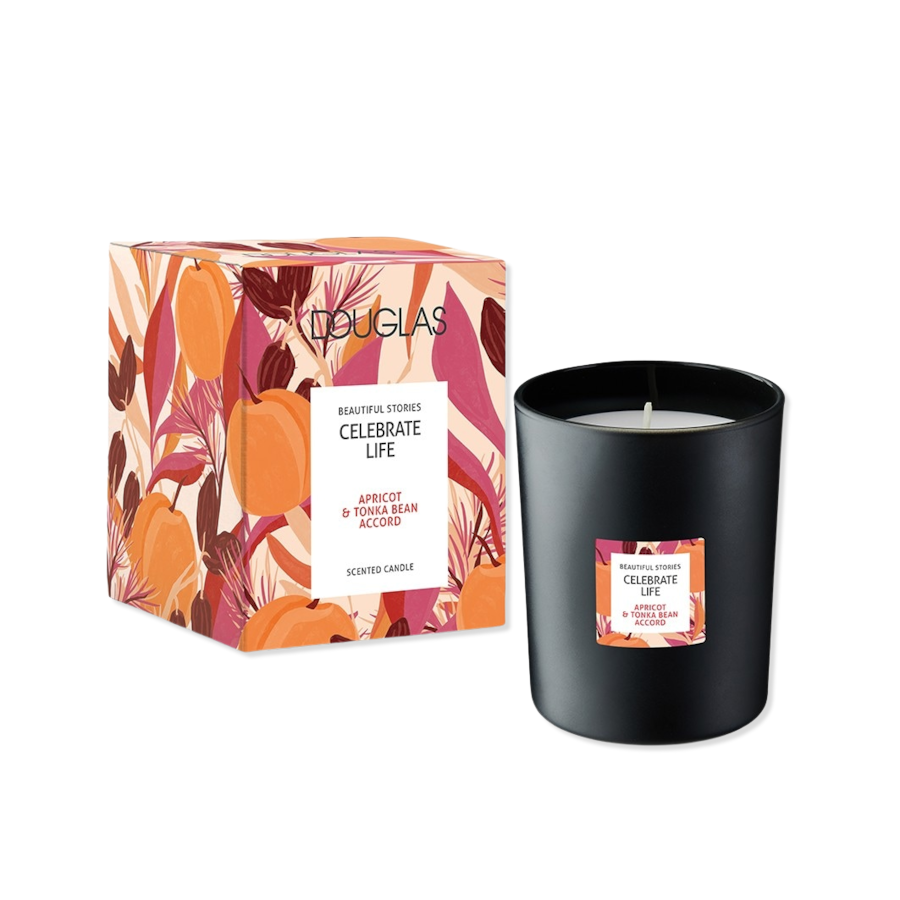 Douglas Collection Christmas 2023 Celebrate Life Candle