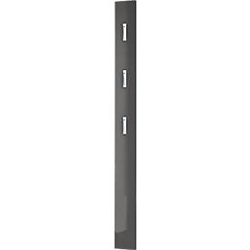Susanna kapstokpaneel, wandbevestiging, 3 opklapbare haken, tot 5 kg, B 150 x D 30 x H 1700 mm, MDF, grafiet hoogglans