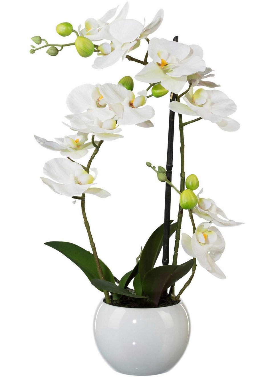 Creativ green Kunstplant Vlinderorchidee (1 stuk)