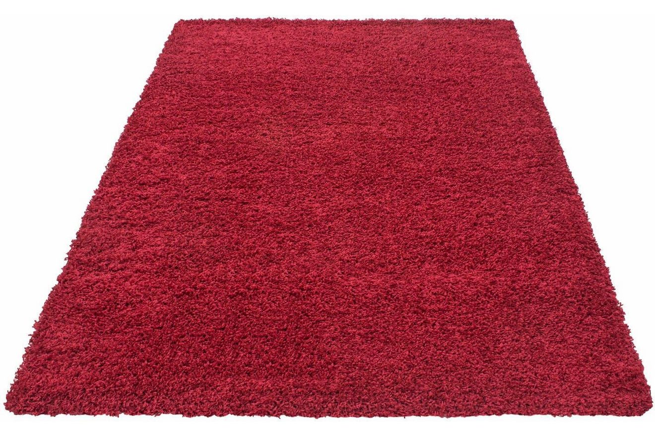Ayyildiz Teppiche Hoogpolig vloerkleed Dream shaggy