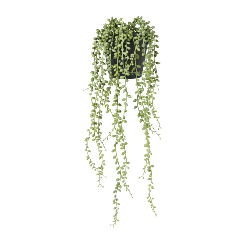 Xenos Kunstplant erwtenplantje in pot - groen/zwart - 53 cm