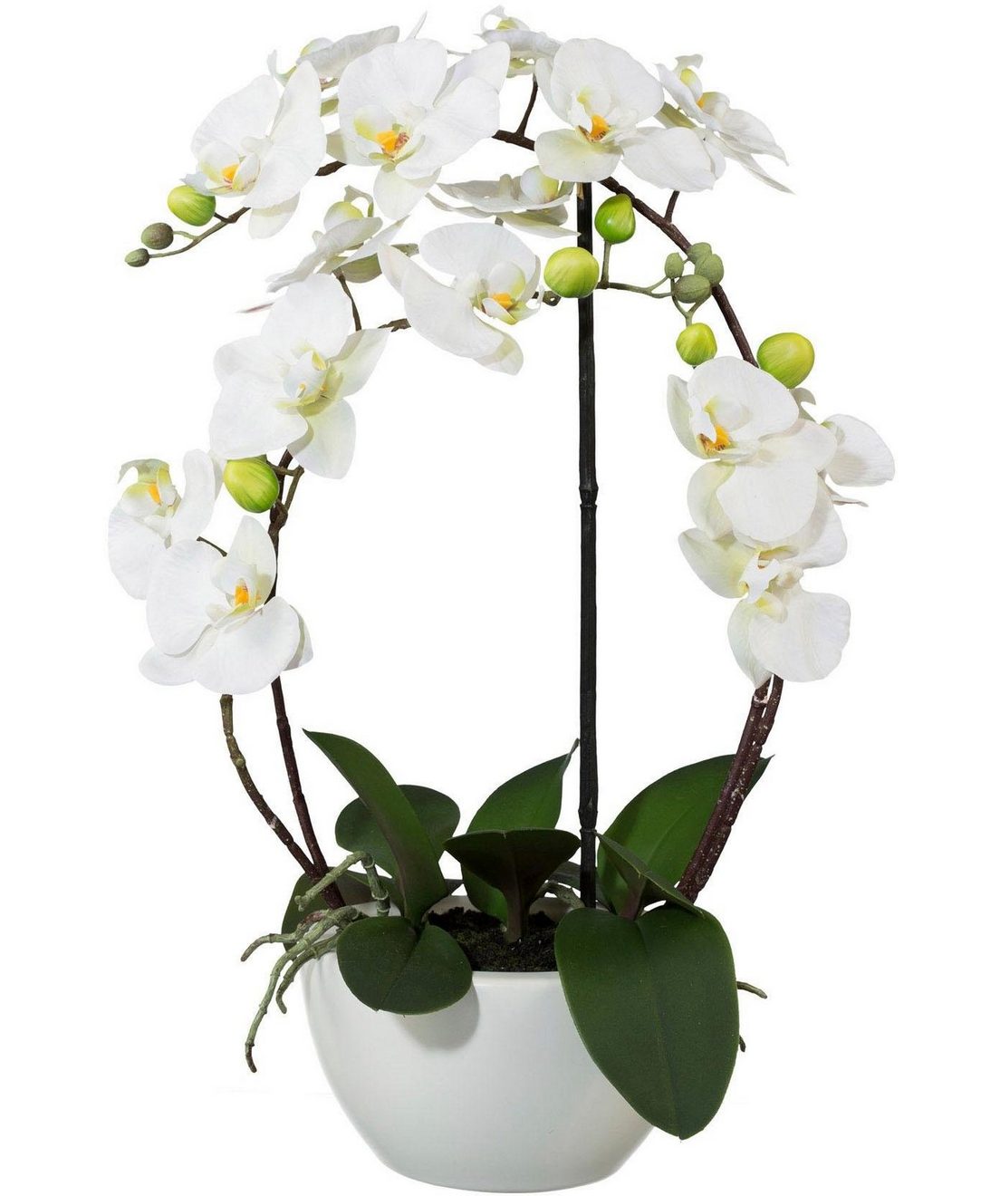 Creativ green Kunstplant Vlinderorchidee (1 stuk)