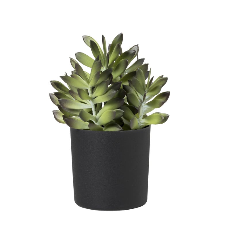 Xenos Kunstplant crassula in pot - groen/zwart - 25 cm