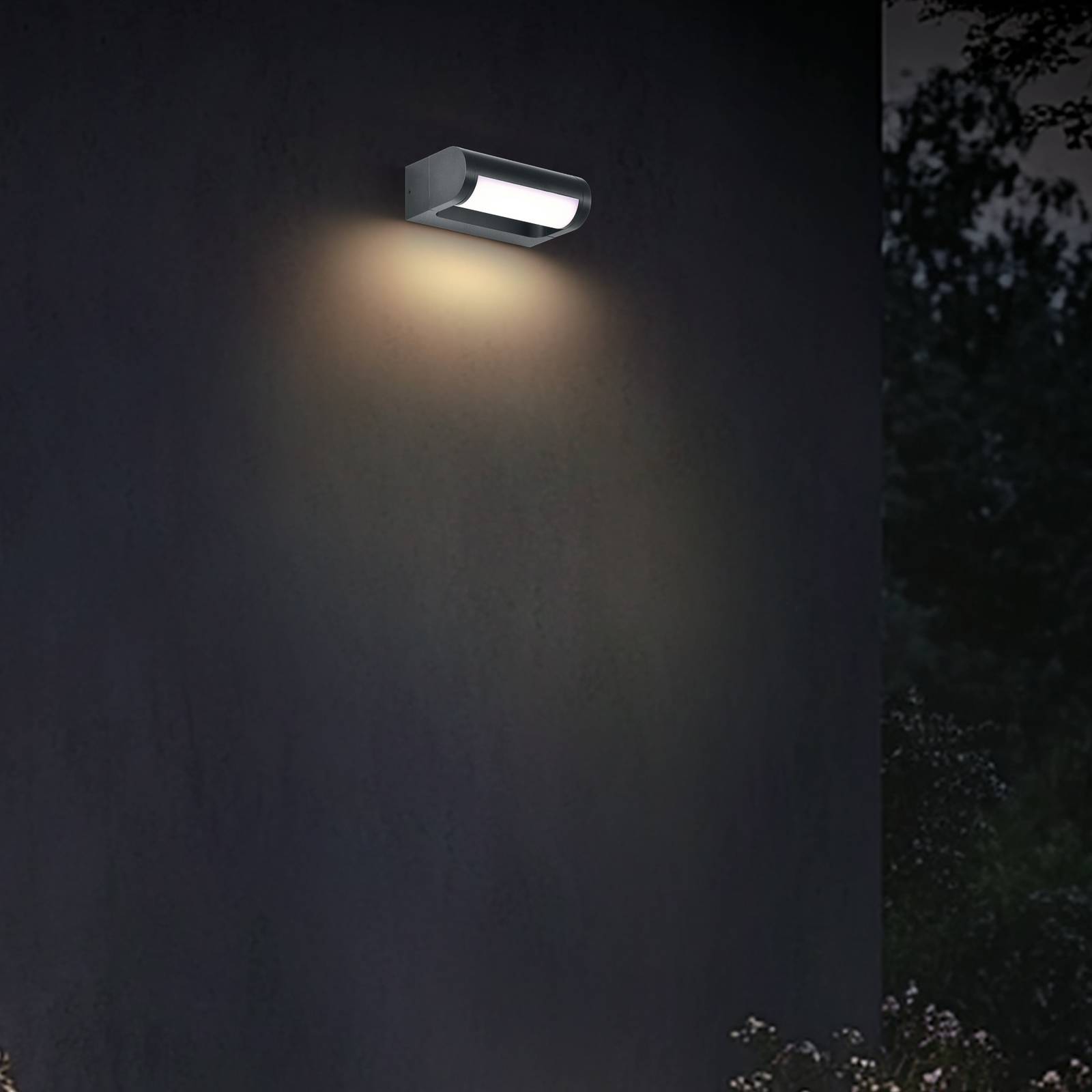 CMD LED buiten wandlamp  9052, breedte 18 cm, antraciet, IP65