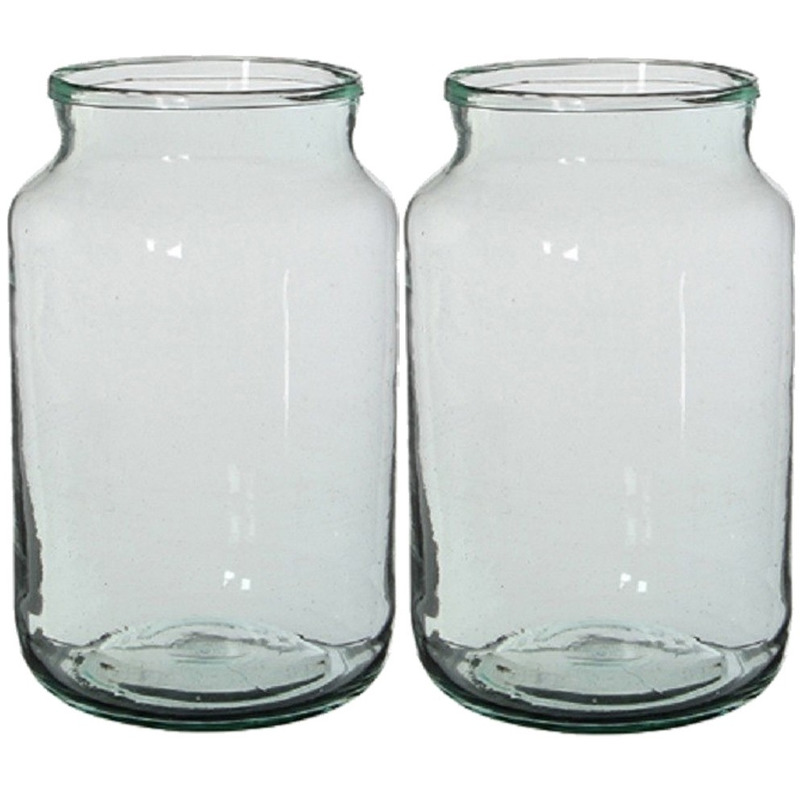Merkloos Vaas - 2x - cilinder - transparant glas - 30 x 18 cm - bloemenvazen -