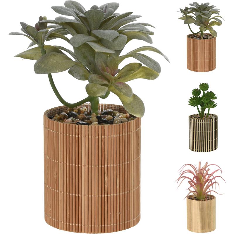 Home & Styling Plant in bamboe pot 8x8x19cm